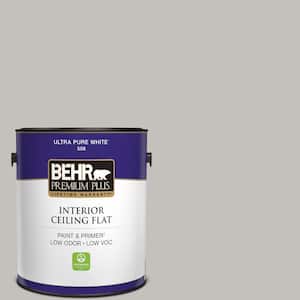 1 gal. #PPU18-10 Natural Gray Ceiling Flat Interior Paint
