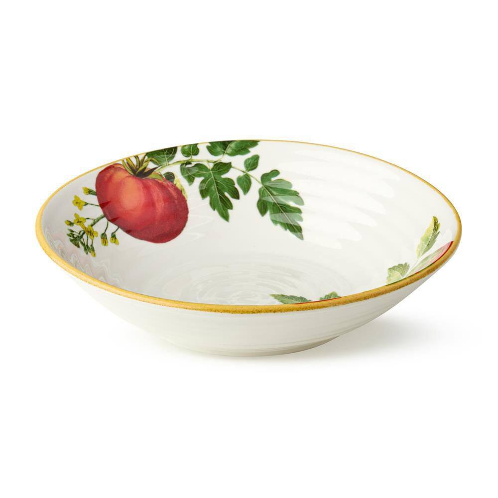 Pomodoro Set of 4 38 fl. oz. Assorted Colors Stoneware Pasta Bowl 9 in. x 2.25 in. product image for price tracking