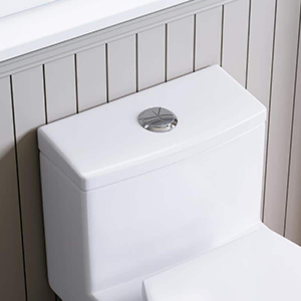 Matte White Elongated Dual Flush One-Piece Toilet