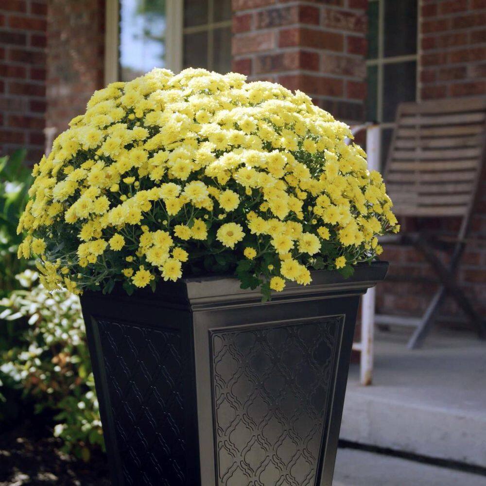 Casablanca Self-Watering Pedestal Planter, 24" Moroccan-Inspired Design