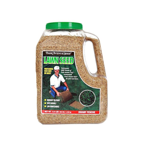 Park Avenue Turf 3.5 lb. Dwarf Fescue Lawn Seed