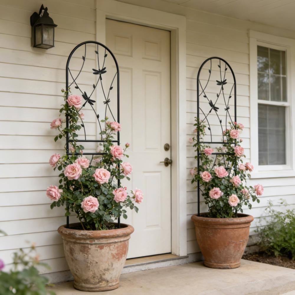 2-Pack 86.7 in Black Outdoor Metal Plant Trellis for Climbing Plants, Rustproof Dragonfly Decor price history on PriceWatchPro
