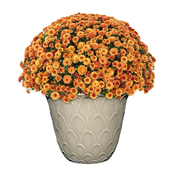 Cosetta Large Beige Resin Textured Lightweight Round Planter (18.6 in. L x 18.6 in. W x 14.5 in. H)