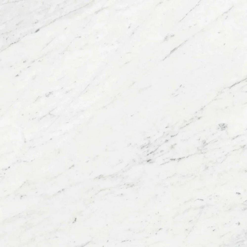 Regalia 4 in. x 4 in. Matte White Porcelain Veining Tile Sample (0.14 sq. ft.) price history on PriceWatchPro