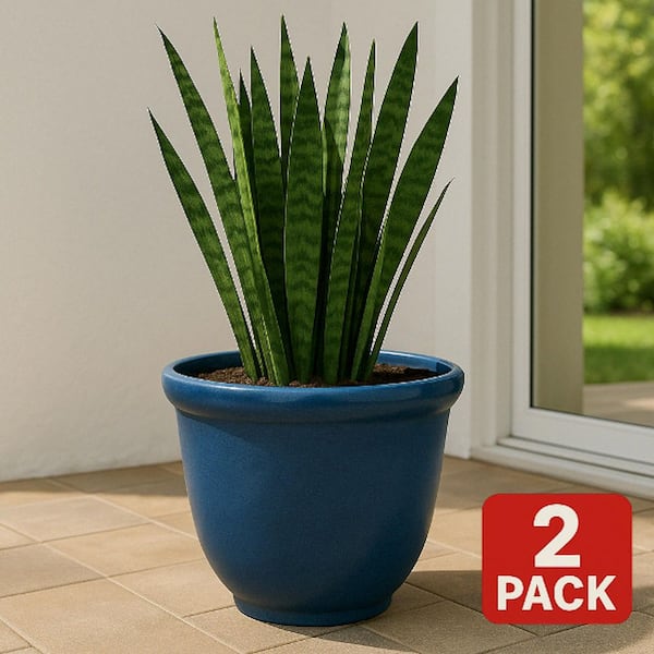 16 in. Dia Blue Resin Round Felicia Planter (2-Pack)