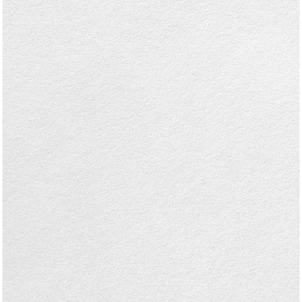 USG Ceilings Astro 5/8 in. x 2 ft. x 2 ft. Shadowline Tapered Edge Lay-In Ceiling Tile 64 sq. ft./Case 16-Piece