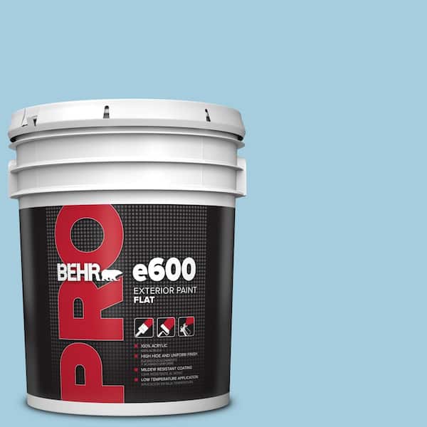 BEHR PRO 5 gal. #M490-2 Carefree Sky Flat Paint