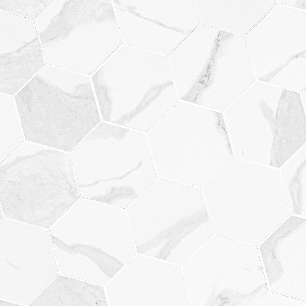 Eden Statuary Matte Porcelain Hexagon Mosaic Tile 6x6