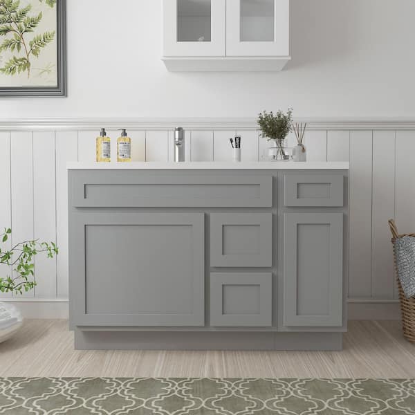 Vanity Art 48 in. W x 21 in. D x 32.5 in. H Bath Vanity Cabinet without Top in Gray
