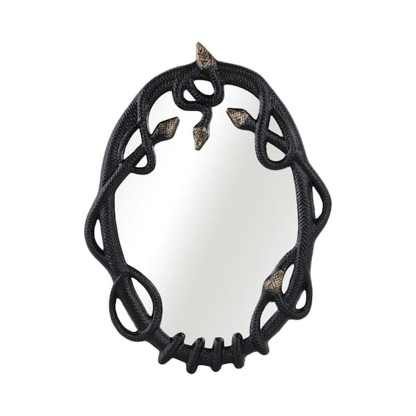 Black 22 in. x 28 in. Modern Round Aluminum Snake Mirror