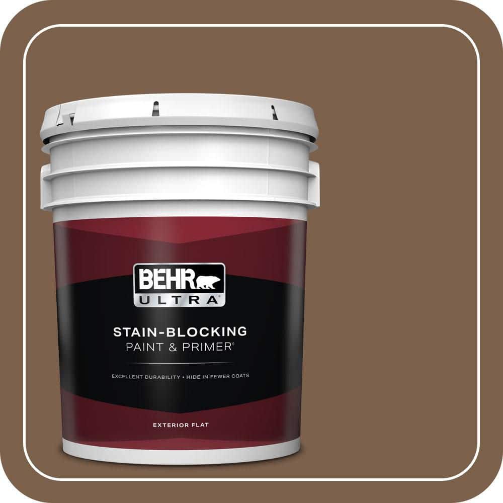 5 gal. Home Decorators Collection #HDC-CL-13 Sassafras Tea Flat Exterior Paint & Primer price history on PriceWatchPro