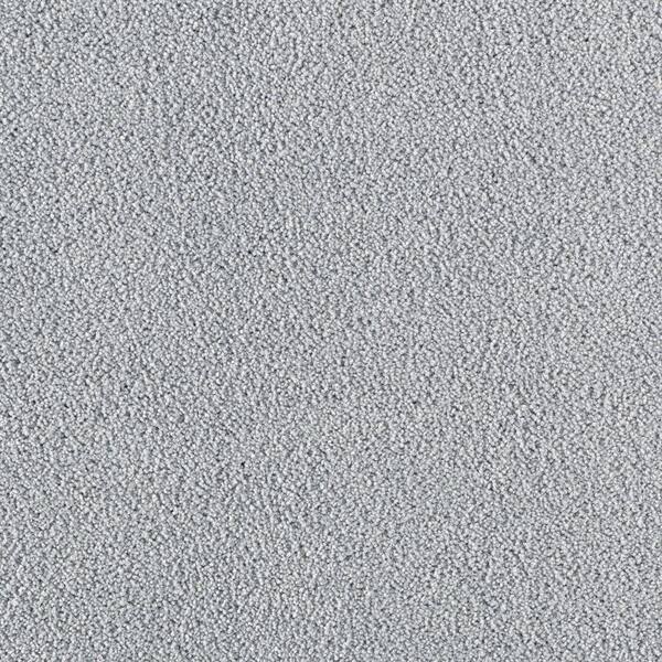 Home Decorators Collection Carpet Sample - Shining Moments I (S) - Color Arctic Air Texture 8 in. x 8 in.