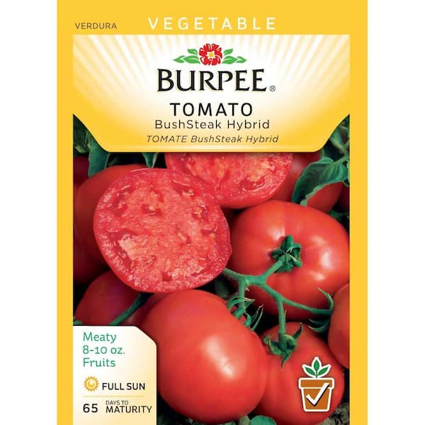 Burpee WP Tomato BushSteak Hybrid Seed 53422 - The Home Depot