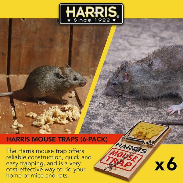 Small Snap Traps for Mice (12 Pack)