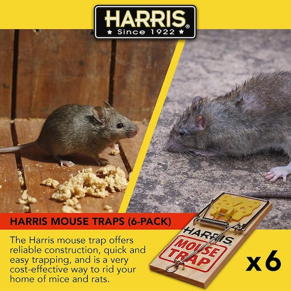 Instant Kill Mouse Snap Traps 12 Count