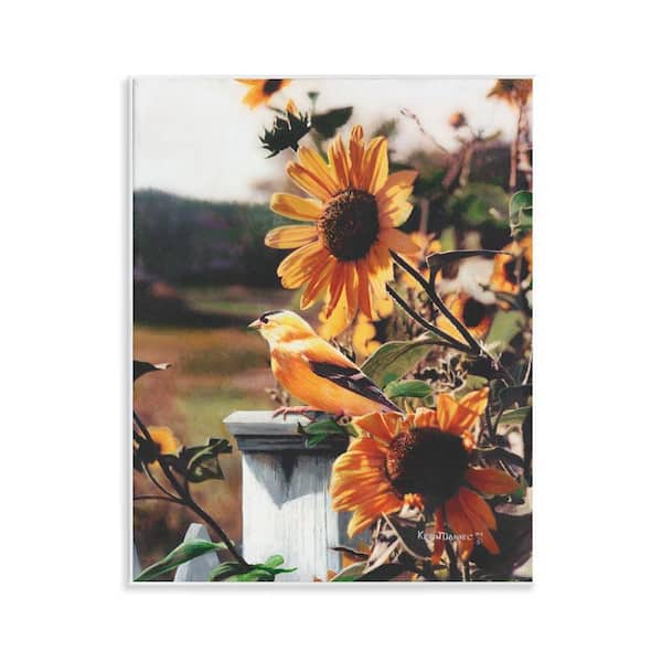 Stupell Industries Canary Bird & Sunflowers by Kevin Daniel Unframed Nature Graphic Art Print 14 in. x 11 in.