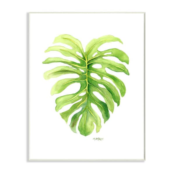 Stupell Industries "Monstera Leaf Tropical Plant Over White" by Melissa Hyatt LLC Unframed Nature Wood Wall Art Print 10 in. x 15 in.