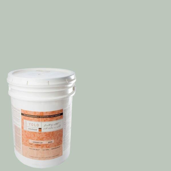 YOLO Colorhouse 5-gal. Water .02 Flat Interior Paint-DISCONTINUED