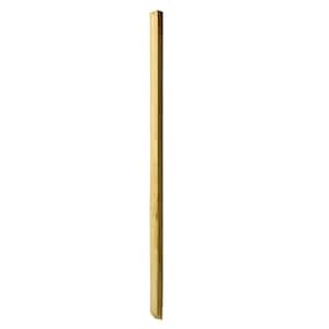 2 in. x 2 in. x 42 in. Wood Pressure-Treated Mitered 1-End B1E Baluster (16-Pack)