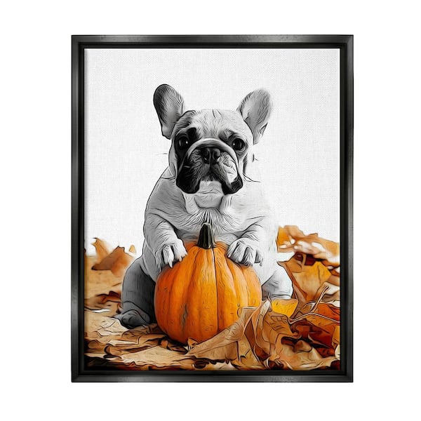 Stupell Industries Puppy with Fall Pumpkin by Annalisa Latella 1 Piece Floater Frame Graphic Print Animal Poster Art Print 21 in. x 17 in.