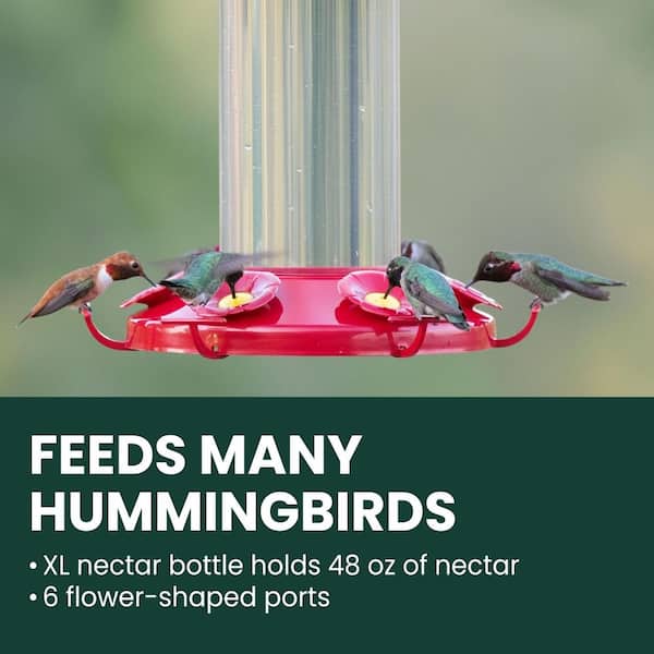 Grand Master Plastic Hummingbird Feeder - 48 oz. Capacity