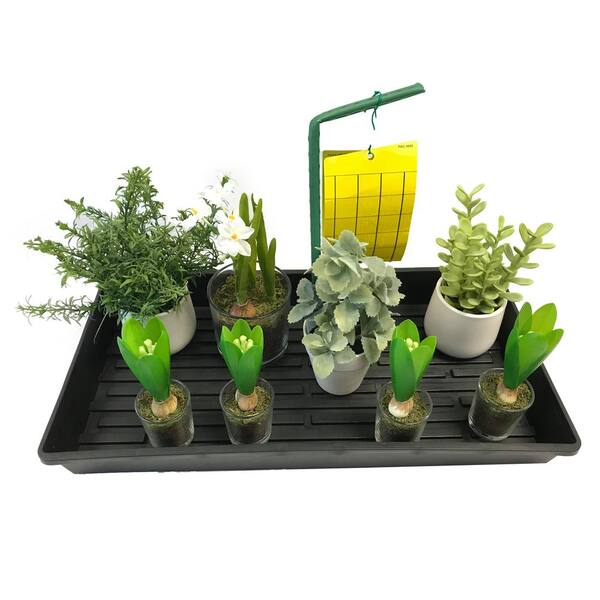 Viagrow Dual Sided Yellow Sticky Traps For Flying Plant Insects 5 Pack 25 Traps Vsft5 5 The Home Depot