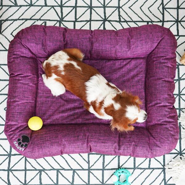 medium waterproof dog bed