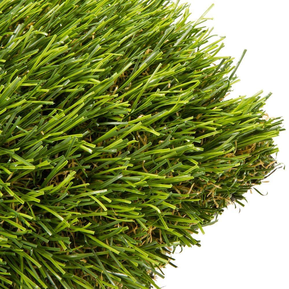 Astrolawn Bonita Artificial Grass Synthetic Lawn 8 In X 8 In Sample Bon708215sp1212 The Home 