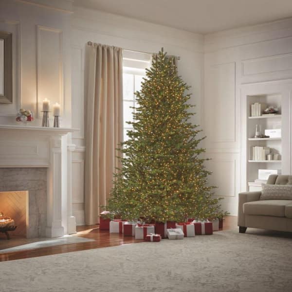 Home Decorators Collection 9 Ft Elegant Grand Fir Led Pre Lit Artificial Christmas Tree With 3000 Warm White Micro Dot Lights 21wl10164 The Home Depot