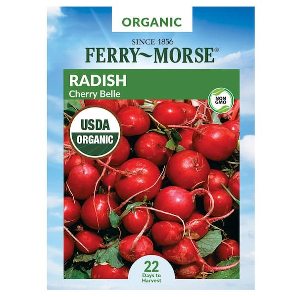 Organic Radish Cherry Belle Vegetable Seed
