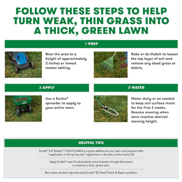 Scotts Turf Builder ThickR Lawn All-Purpose Lawn Fertilizer For Tall Fescue Grass 4000 sq ft