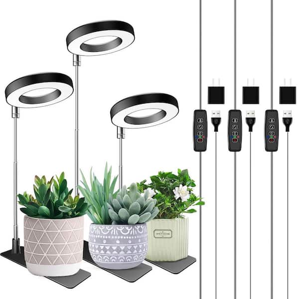 buying fiddle leaf fig tree Fiddle Leaf Fig + Pot (Gift Bundle)