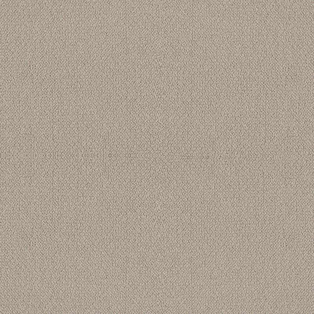 8 in x 8 in.  Loop Carpet Sample - Tower Road - Color Parchment price history on PriceWatchPro