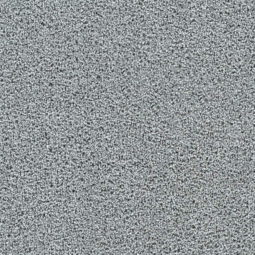 8 in. x 8 in. Texture Carpet Sample-Easel-Color Modern price history on PriceWatchPro
