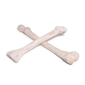 Ivory Ceramic Fireproof Decoration Bones for Fire Pits and Fireplaces (Set of 2)