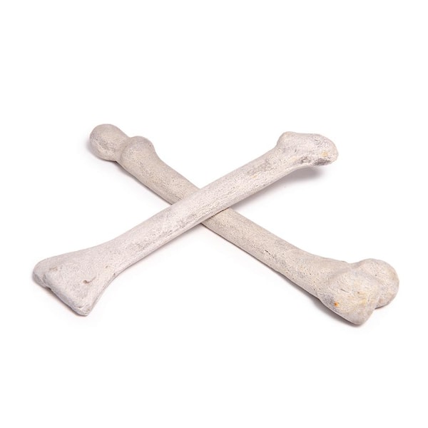 Unbranded Ivory Ceramic Fireproof Decoration Bones for Fire Pits and Fireplaces (Set of 2)