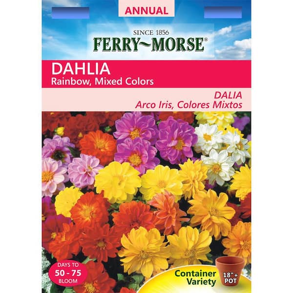 Ferry-Morse Dahila Rainbow Mixed Colors Seed
