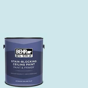 1 gal. #MQ3-52 Ethereal Mood Ceiling Flat Interior Paint with Primer