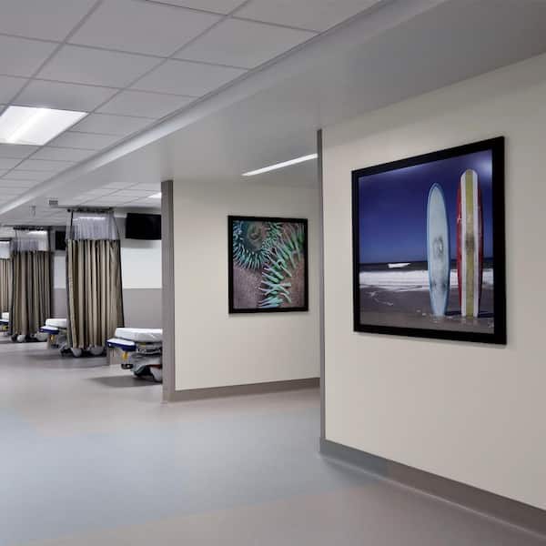 5 gal. #OR-W13 Shoelace Eggshell Interior Paint