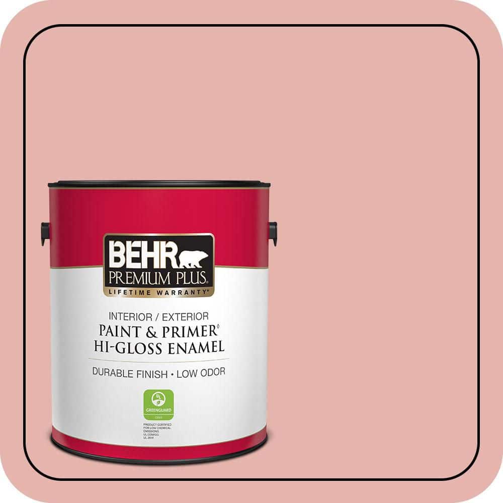 1 gal. Home Decorators Collection #HDC-SP16-09 Dahlia Hi-Gloss Enamel Interior/Exterior Paint & Primer price history on PriceWatchPro