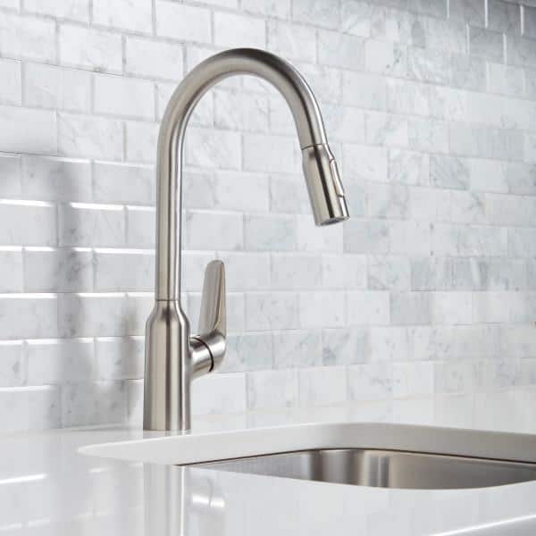 Hansgrohe Focus N Single-Handle Pull Down Sprayer Kitchen Faucet