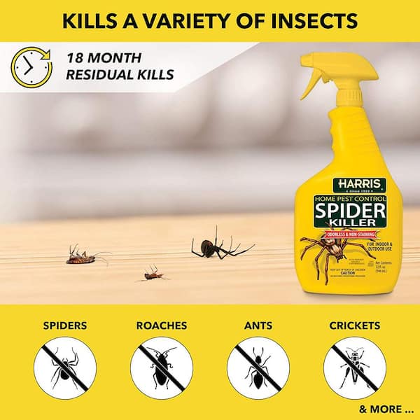 32 oz. Spider Killer and Spider Traps Value Pack