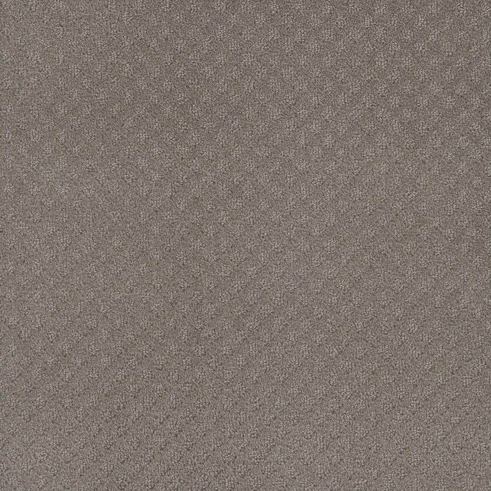 8 in. x  8 in. Loop Carpet Sample - Camelia Lane -Color Eastman price history on PriceWatchPro