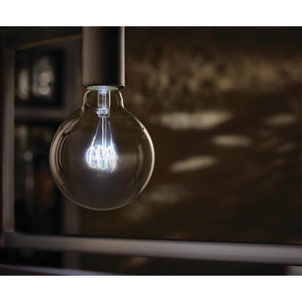 https://images.thdstatic.com/productImages/c0d3a068-e4a7-406e-9977-4cfdde2225a8/svn/ecosmart-edison-bulbs-g30c5e26850w-77_1000.jpg