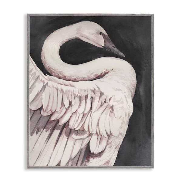 Stupell Industries Swan Portrait on Grey by Grace Popp Gray Framed Animal Giclee Art Print 14 in. x 11 in.