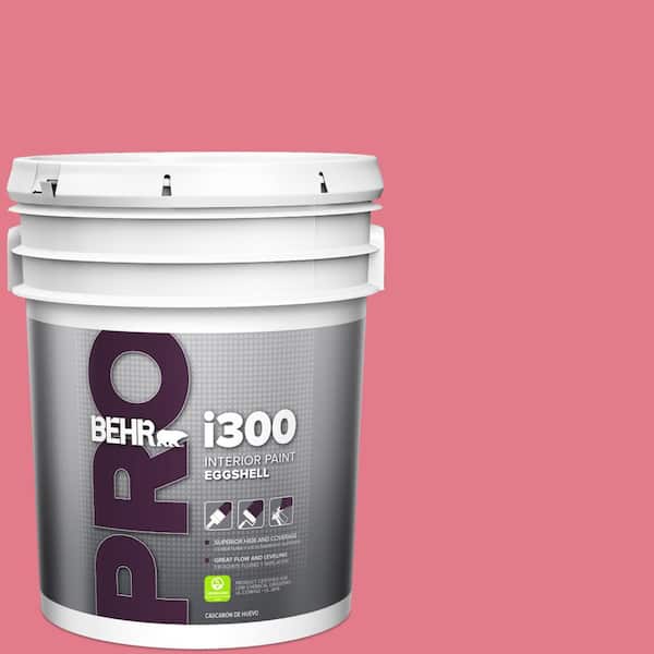 BEHR PRO 5 gal. #P150-4 Hot Gossip Eggshell Interior Paint