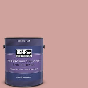 1 gal. #S150-3 Rose Pottery Ceiling Flat Interior Paint with Primer