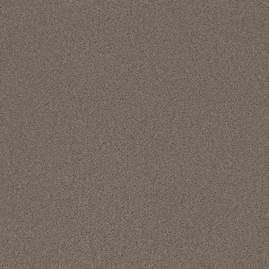 Added Value - Tally - Gray 24 oz. SD Polyester Texture Installed Carpet