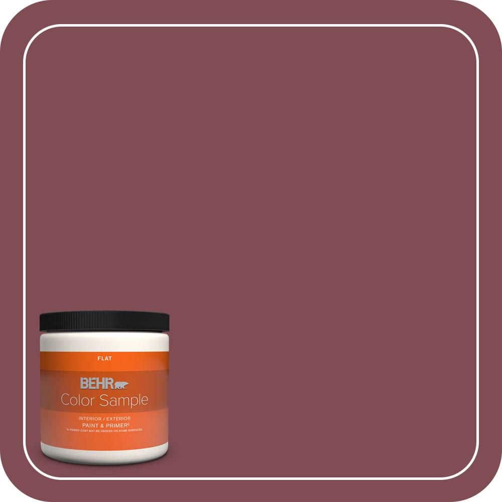 8 oz. Home Decorators Collection #HDC-SP14-11 Rouge Charm Flat Interior/Exterior Paint & Primer Color Sample price history on PriceWatchPro