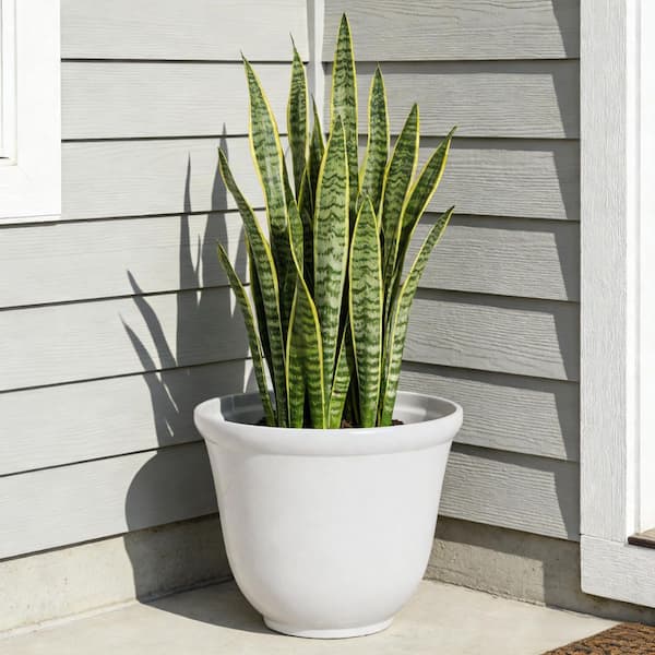 plant pot holder stand Vertical Pot Holder ALBERO by Achille Castiglioni for Zanotta. Shop on  Design Italy main image 0